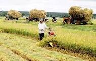 Investment prioritized for agriculture-farmers-rural areas 